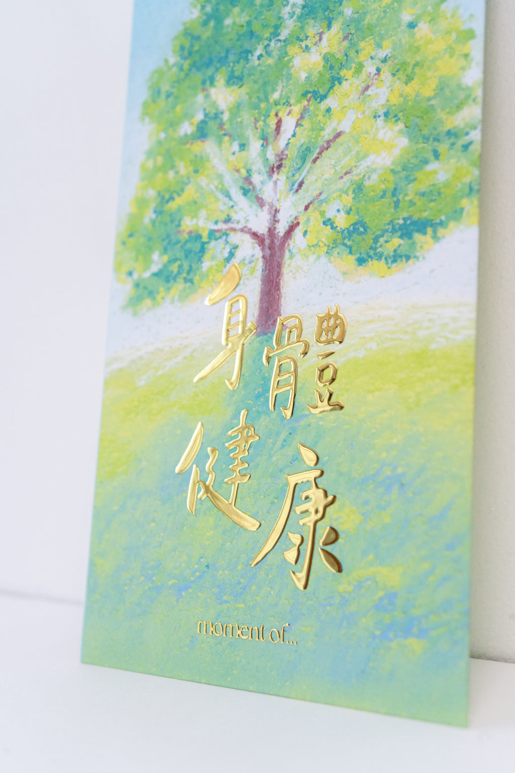 利是封套裝（12個）