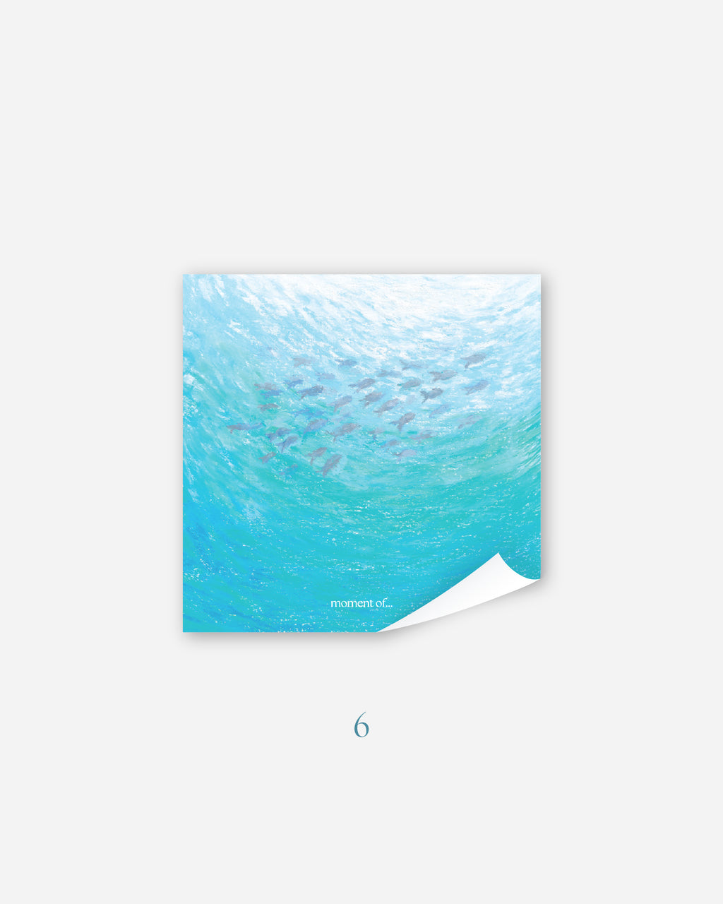 Memo 便利貼 (共8款）