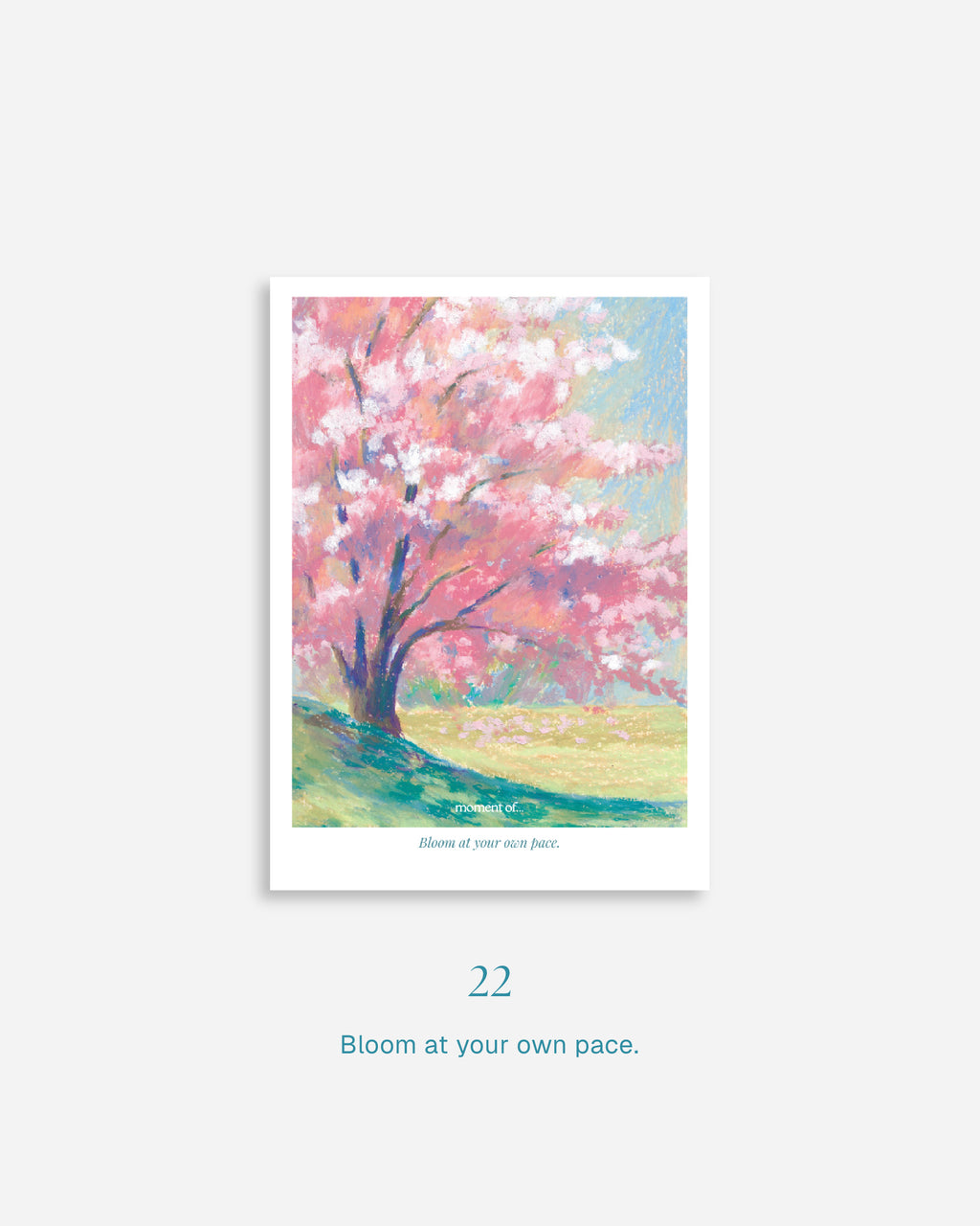 A6 明信片/心意卡 (共24款)